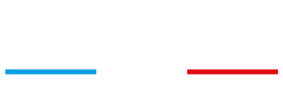 Briochin
